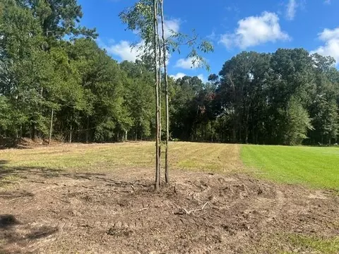 Stepp Road, Robert, LA 70455 photo 2