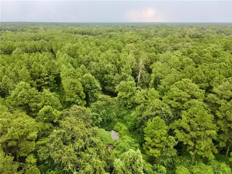 17063 Woodrow Rd, Covington, LA 70435 photo 5
