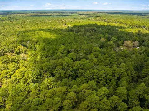 E River Road, Glenmora, LA 71433 photo 8