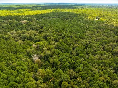 E River Road, Glenmora, LA 71433 photo 11