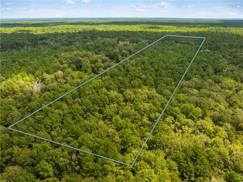E River Road, Glenmora, LA 71433 photo 9