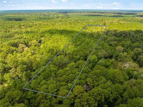 E River Road, Glenmora, LA 71433 photo 6