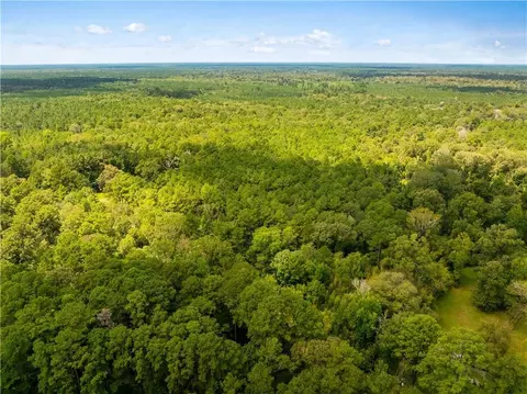 E River Road, Glenmora, LA 71433 photo 3