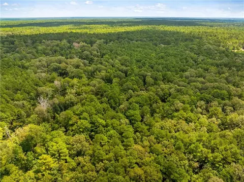 E River Road, Glenmora, LA 71433 photo 10