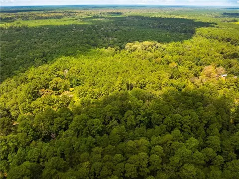 E River Road, Glenmora, LA 71433 photo 13