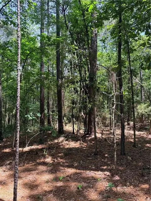 Rolling Pines Road, Amite, LA 70422 photo 6