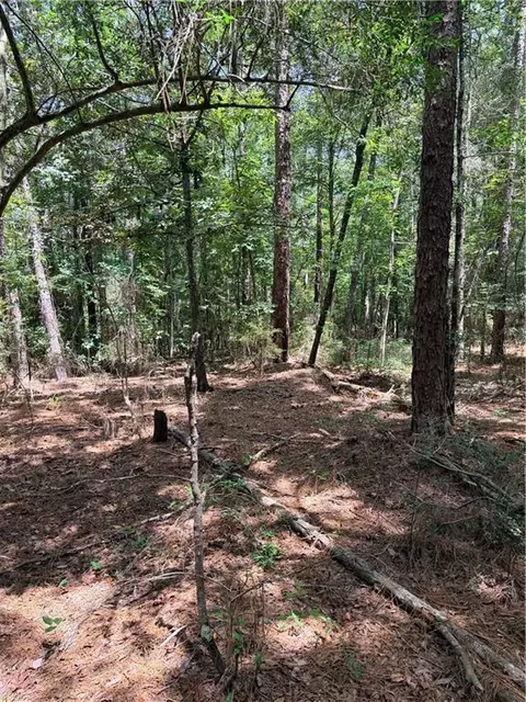 Rolling Pines Road, Amite, LA 70422 photo 20
