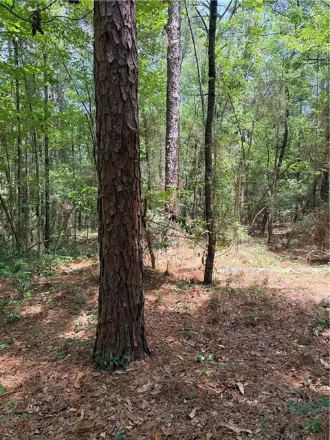 Rolling Pines Road, Amite, LA 70422 photo 10
