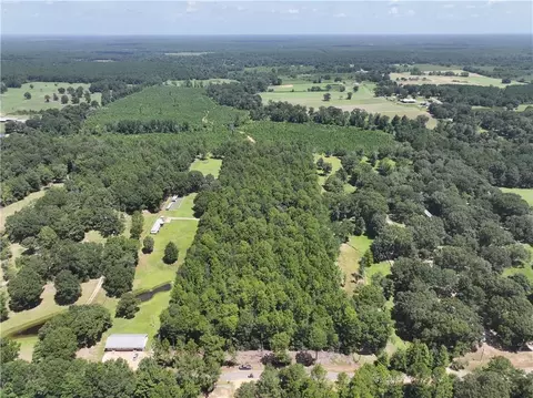 Rolling Pines Road, Amite, LA 70422 photo 7