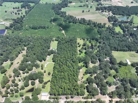 Rolling Pines Road, Amite, LA 70422 photo 5