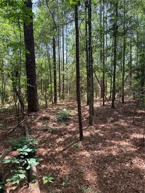 Rolling Pines Road, Amite, LA 70422 photo 18