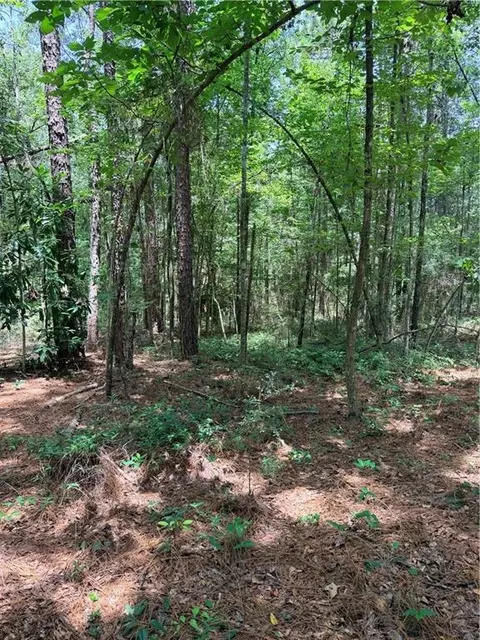 Rolling Pines Road, Amite, LA 70422 photo 17