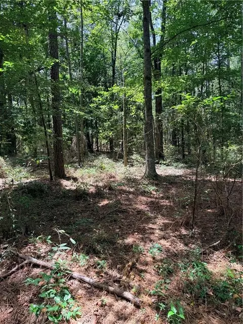 Rolling Pines Road, Amite, LA 70422 photo 16