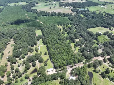 Rolling Pines Road, Amite, LA 70422 photo 4