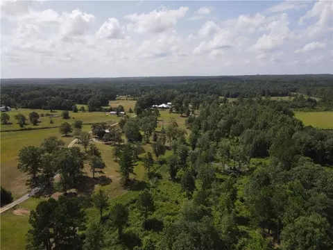 View/Area - 103 Harlan Davis Rd, Wiggins, MS 39577 photo 4 of 5
