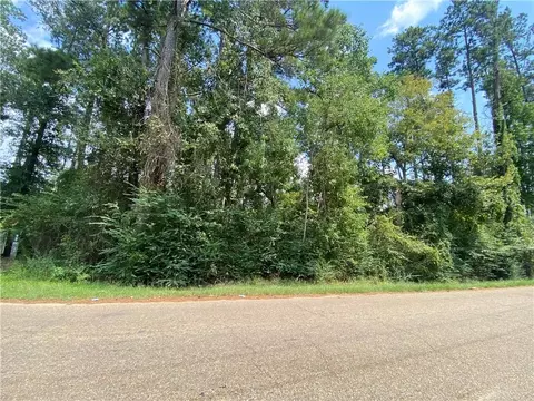 tbd Leonard Chapel Rd, Amite, LA 70422