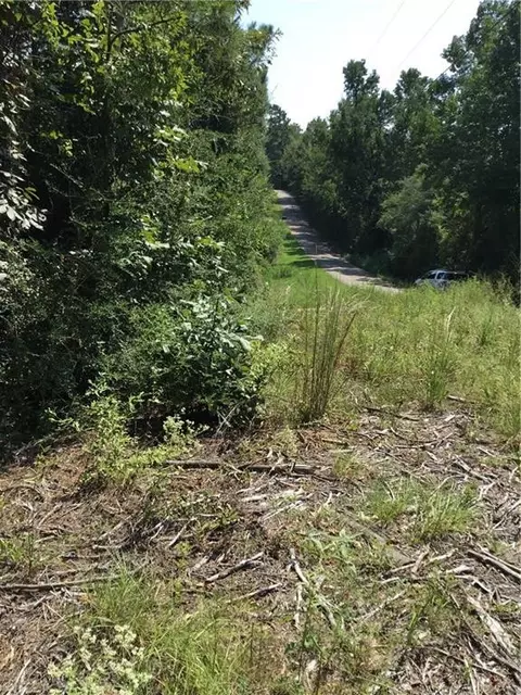 29637 Roscoe Dillon Rd, Franklinton, LA 70438