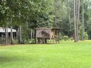 Exterior - 25094 Lowe Davis Rd, Covington, LA 70435 photo 4 of 4