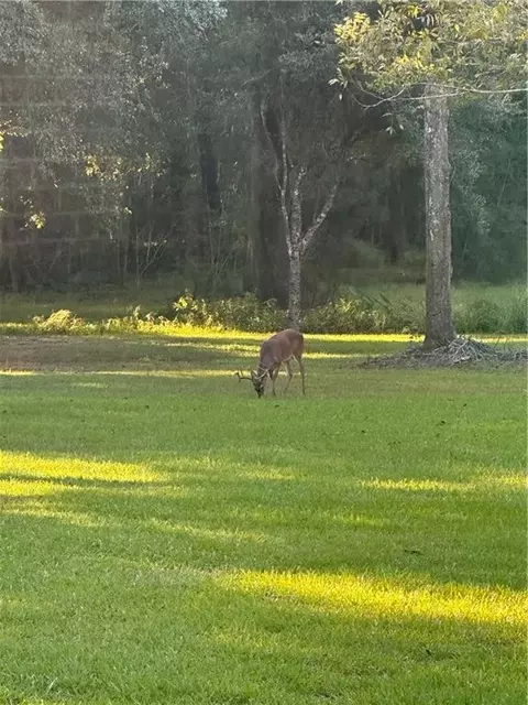 Other - 115 Eagle Rd, Covington, LA 70435 photo 11 of 11