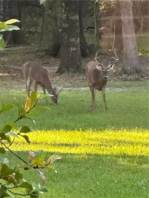 Other - 115 Eagle Rd, Covington, LA 70435 photo 10 of 11