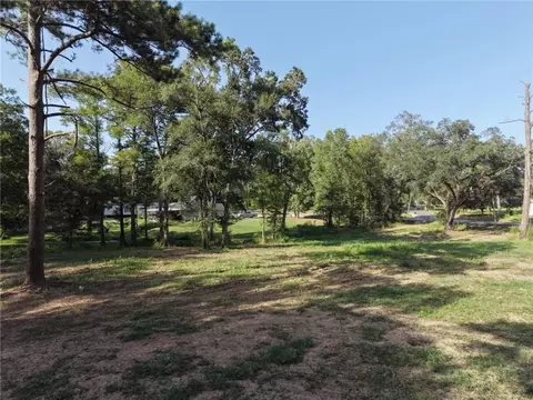 26351 S Satsuma Rd, Livingston, LA 70754