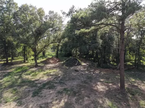 26361 S Satsuma Rd, Livingston, LA 70754