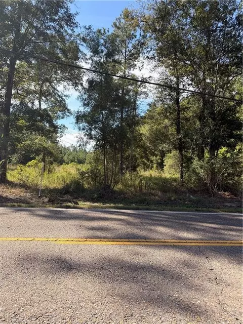 Hwy 36 Highway, Abita Springs, LA 70420