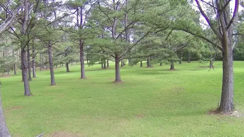 000 Thompson Ln, Carriere, MS 39426