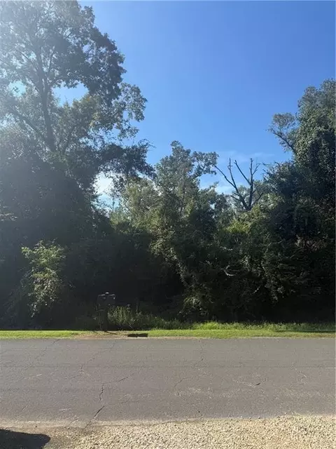tbd Choctaw Dr, Tickfaw, LA 70466