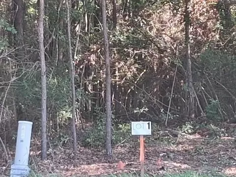 La 424 - Lot 1 Highway, Franklinton, LA 70438
