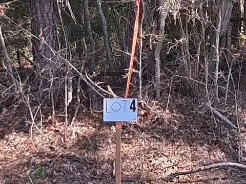La Hwy 424 - Lot 4, Franklinton, LA 70438