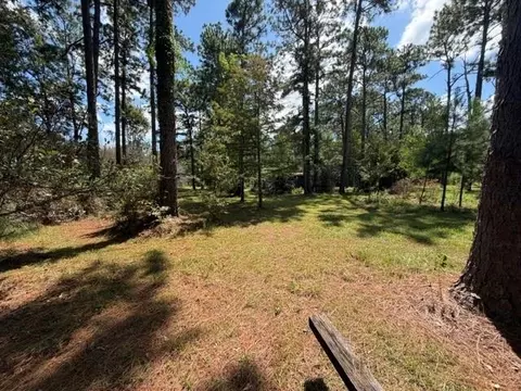 Exterior - 26190 Pine View Dr, Folsom, LA 70437 photo 7 of 11