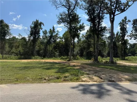 29446 Lindas Haven Rd, Springfield, LA 70462 photo 4