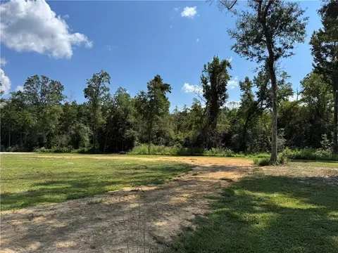 29446 Lindas Haven Rd, Springfield, LA 70462 photo 6