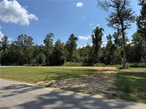 29446 Lindas Haven Rd, Springfield, LA 70462 photo 5