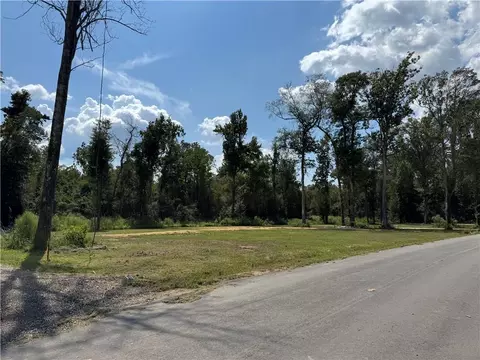 29446 Lindas Haven Rd, Springfield, LA 70462 photo 3