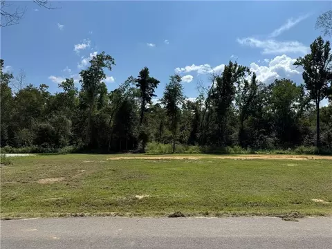 29478 Lindas Haven Rd, Springfield, LA 70462
