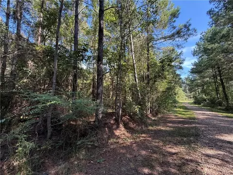 tbd Izebella Dr, Amite, LA 70422 photo 6