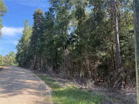 tbd Izebella Dr, Amite, LA 70422 photo 10
