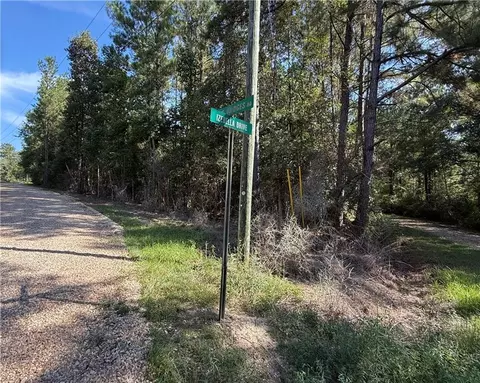 tbd Izebella Dr, Amite, LA 70422 photo 11