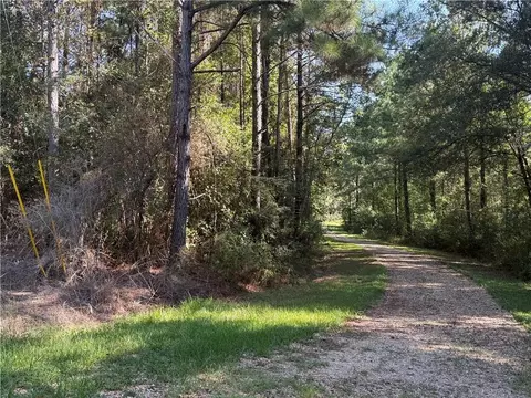 tbd Izebella Dr, Amite, LA 70422 photo 4