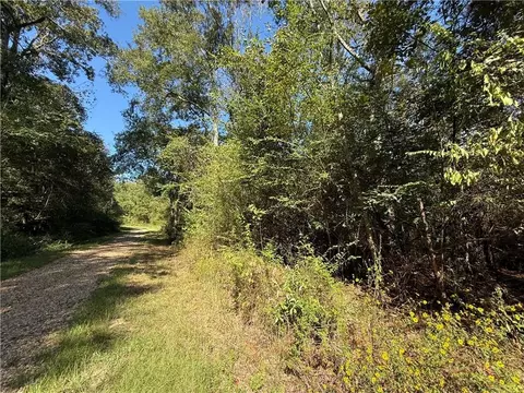 tbd Izebella Dr, Amite, LA 70422 photo 7