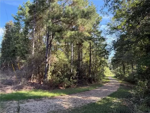 tbd Izebella Dr, Amite, LA 70422 photo 2