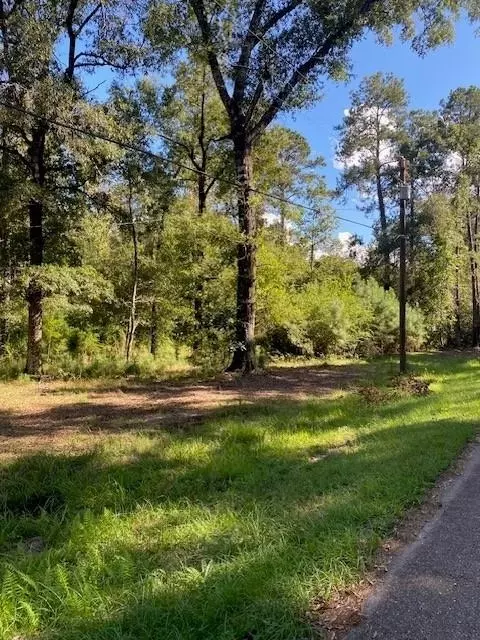 56 Park Ln, Folsom, LA 70437