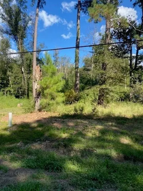 60 Park Ln, Folsom, LA 70437