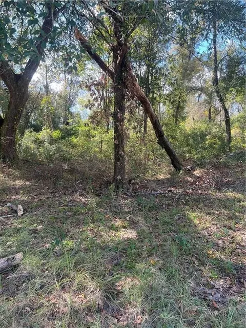lot265 Arbor Dr, Robert, LA 70455 photo 2