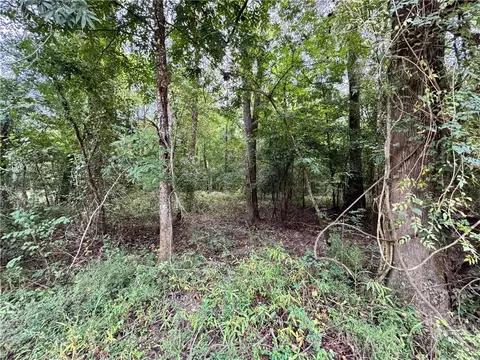 lot18 Pushepatappa Cut Off Rd, Bogalusa, LA 70427
