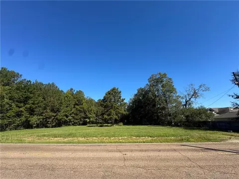 16195 E Minnesota Park Rd, Hammond, LA 70401