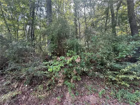 tbd Tom Moore Rd, Leesville, LA 71446 photo 4