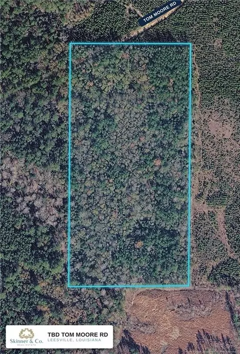 tbd Tom Moore Rd, Leesville, LA 71446 photo 6